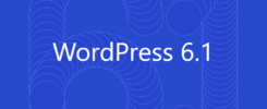 WordPress 6.1